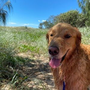 Meet your Posher, Siobhan